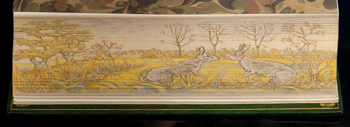 Watership Down fore edge painting
